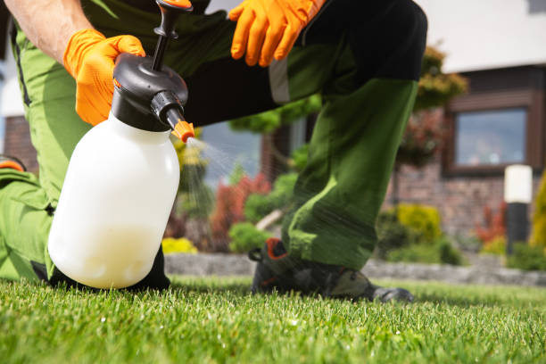 Reliable Stony Brook, NY Pest Control Solutions