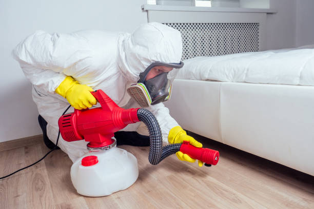 Best Flea Control Services  in Sto Brook, NY