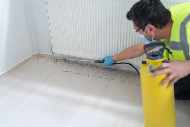 Best Affordable Pest Control Services  in Sto Brook, NY