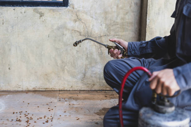 Best Wasp Removal Services  in Sto Brook, NY